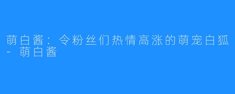 萌白酱：令粉丝们热情高涨的萌宠白狐-萌白酱