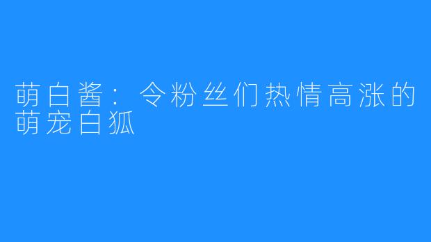 萌白酱:令粉丝们热情高涨的萌宠白狐