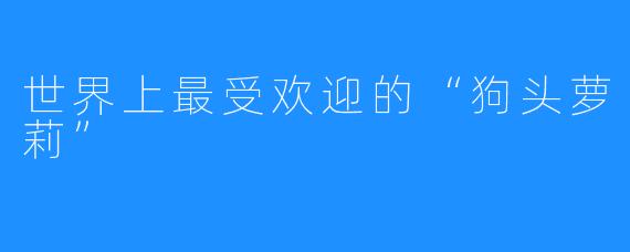 世界上最受欢迎的“狗头萝莉”