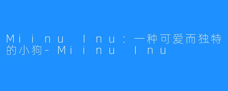 Miinu Inu：一种可爱而独特的小狗-Miinu Inu