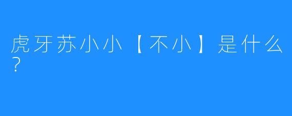 虎牙苏小小【不小】是什么？