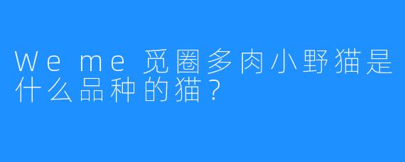 Weme觅圈多肉小野猫是什么品种的猫?