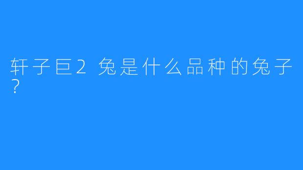 轩子巨2兔是什么品种的兔子？