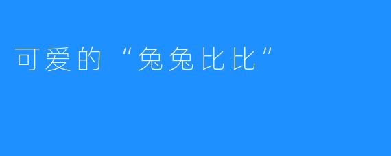 可爱的“兔兔比比”