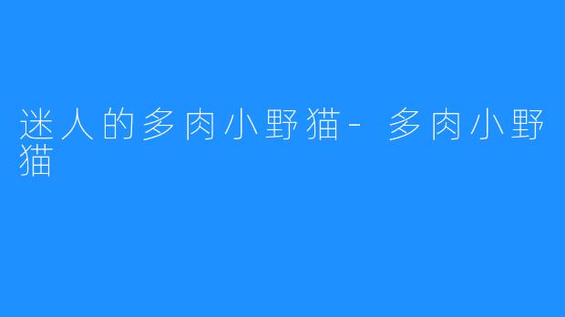迷人的多肉小野猫-多肉小野猫