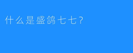 什么是盛鸽七七?