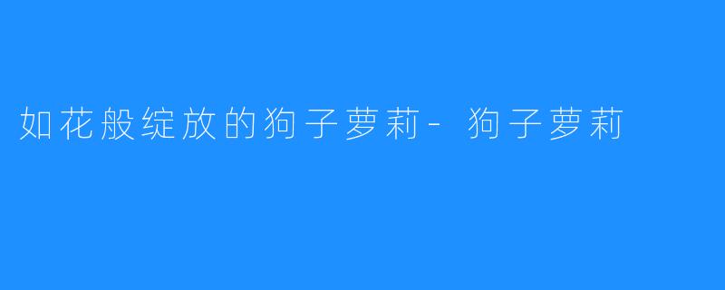 如花般绽放的狗子萝莉-狗子萝莉