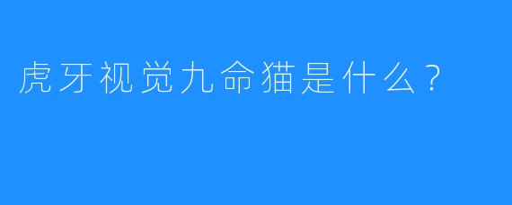 虎牙视觉九命猫是什么?