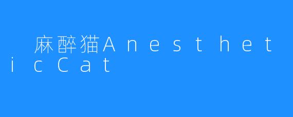麻醉猫AnestheticCat