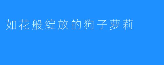 如花般绽放的狗子萝莉