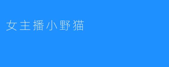 女主播小野猫