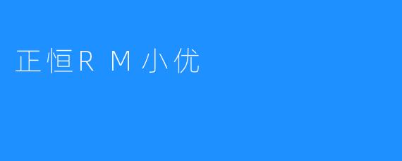 正恒RM小优