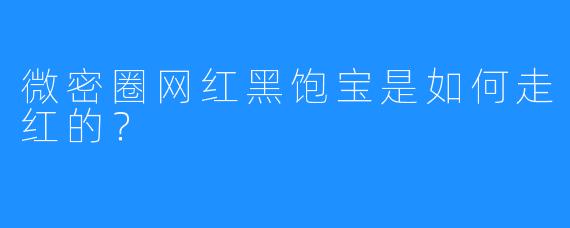 微密圈网红黑饱宝是如何走红的？