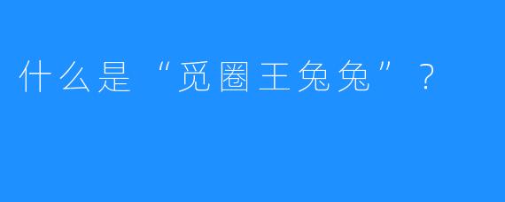 什么是“觅圈王兔兔”？