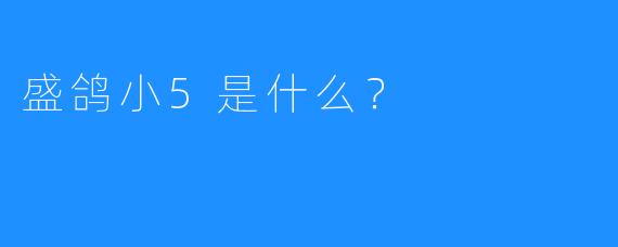 盛鸽小5是什么?