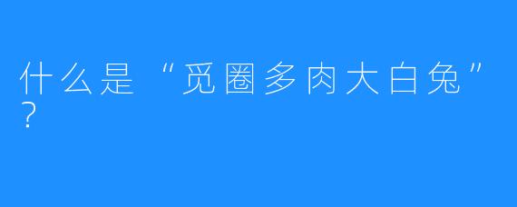 什么是“觅圈多肉大白兔”?